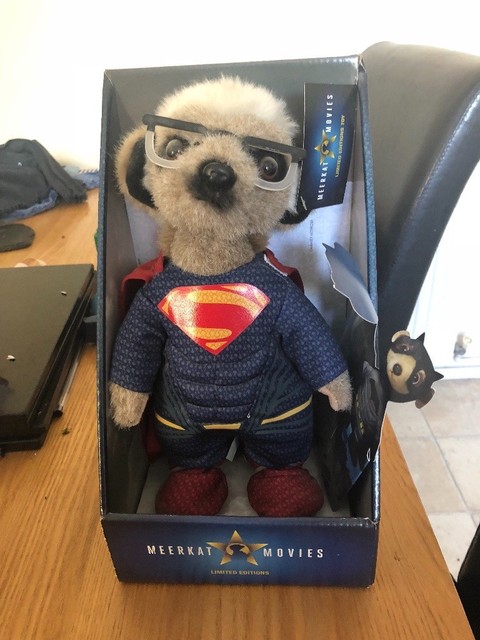 meerkat movies teddy
